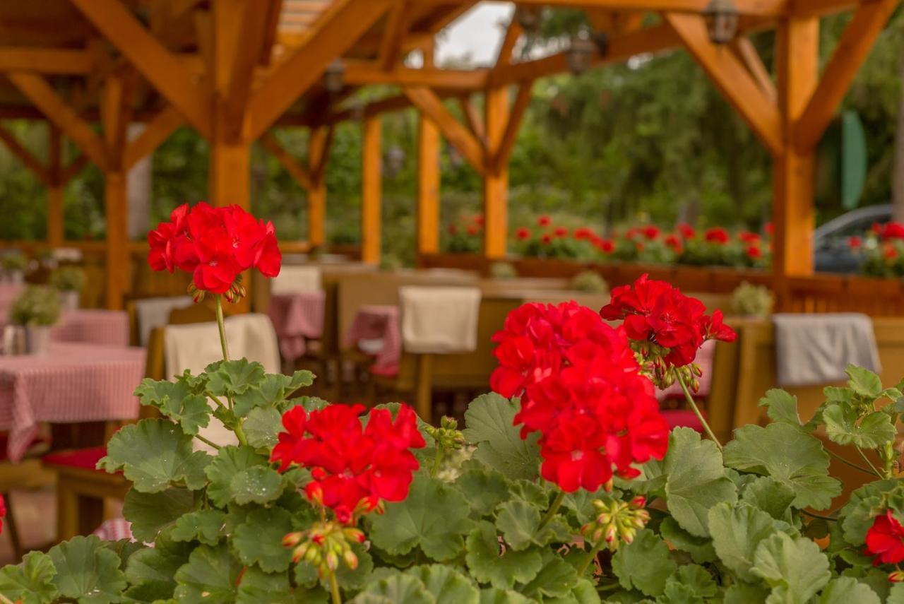 Lipicai Hotel Es Etterem Szilvásvárad Exteriér fotografie
